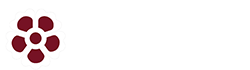 Harris Westminster Sixth Form